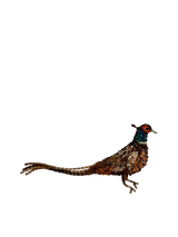 Spilla TROVELORE - Common Pheasant