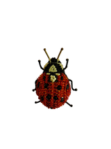 Spilla TROVELORE - Coccinella