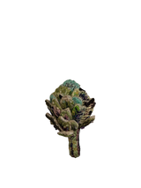 Spilla TROVELORE - Chianti Artichoke