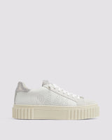 Creeper Silver Dust P448