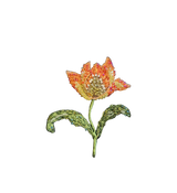 Spilla Trovelore - Yellow red parrot tulip