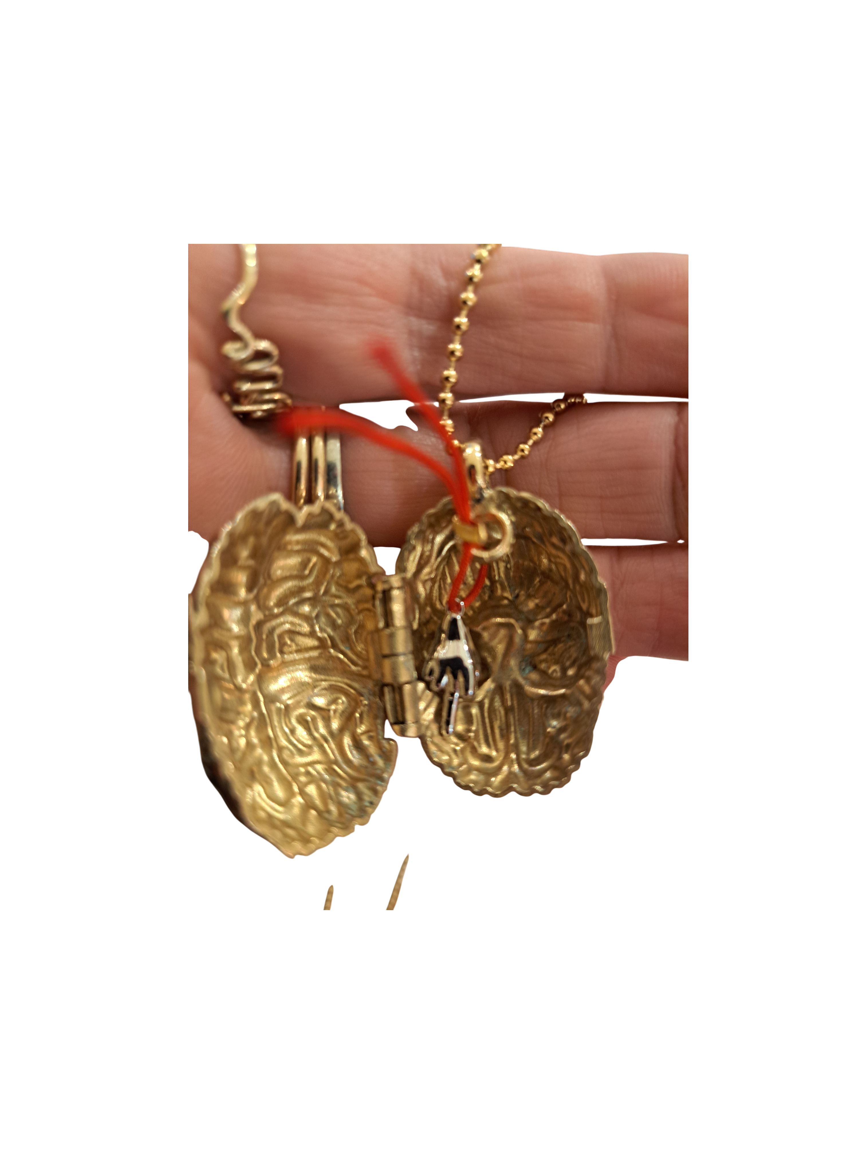 Collana Scrigno "Fuckin brain"