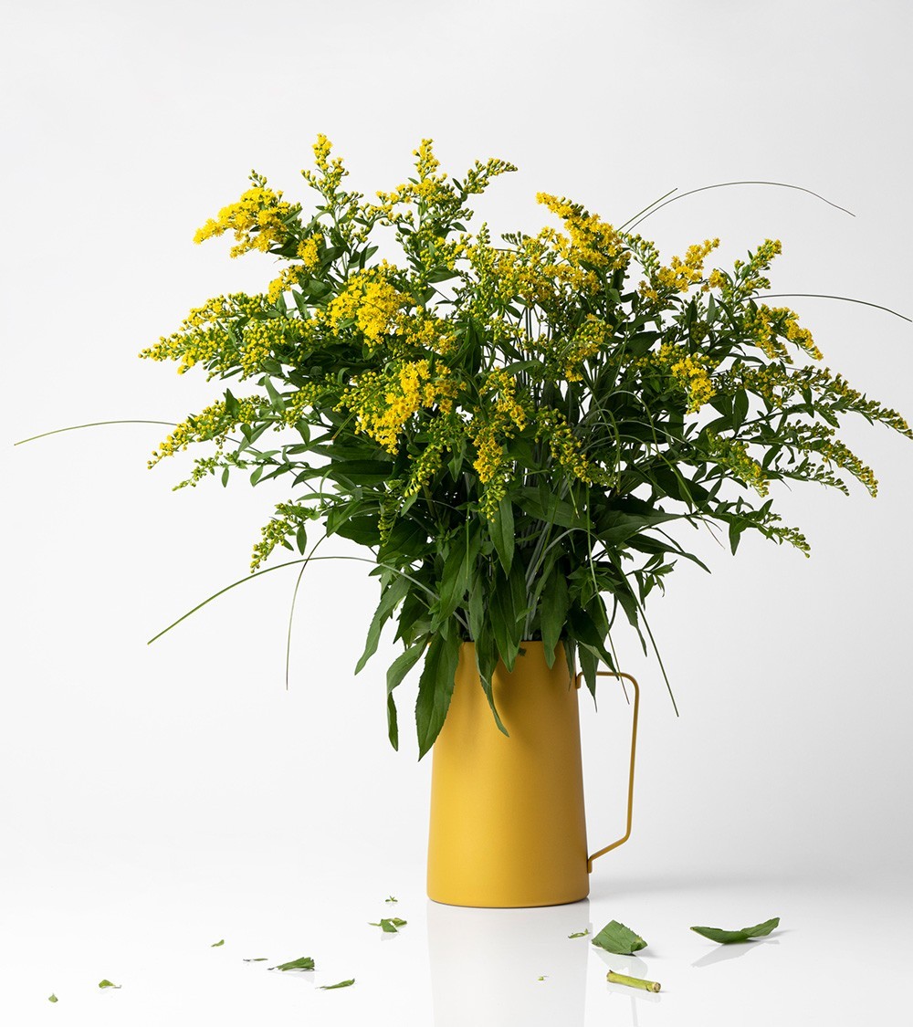 Brocca DIARIO - Giallo