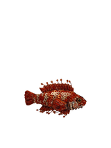 Spilla TROVELORE - Rosefish